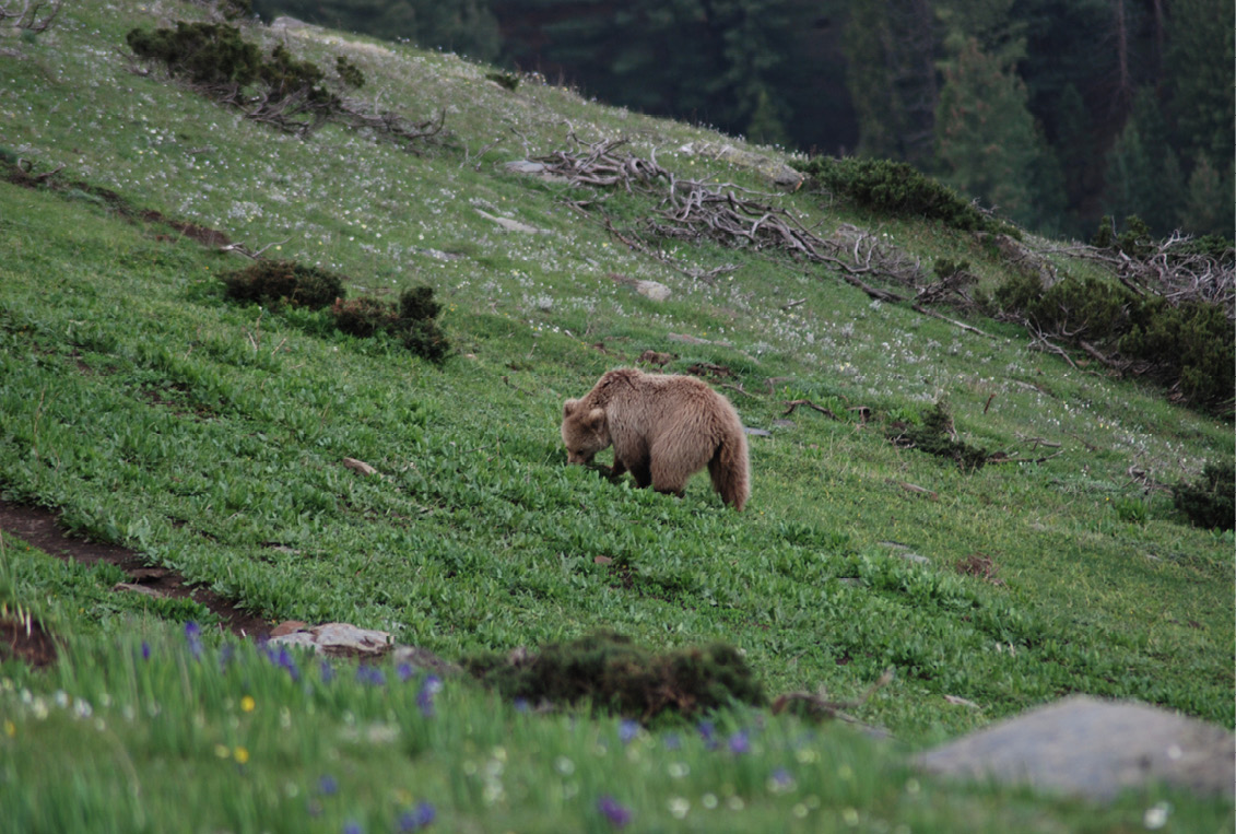 Chamba Adventure Tour