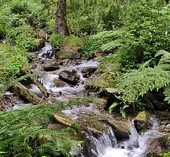 Mandrala-Guniyali  Trek