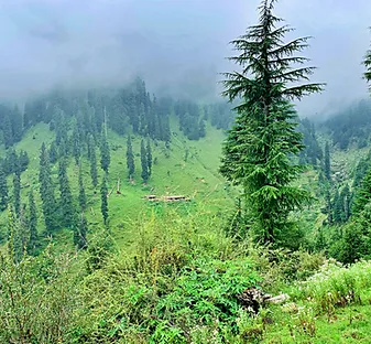 Siyarehi-Suana  Trek